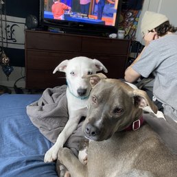 Sadie and Ralphy!!