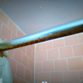 Casa Bella Inn - Black mold in bathroom. - Hotels Near Me - Los Angeles, California