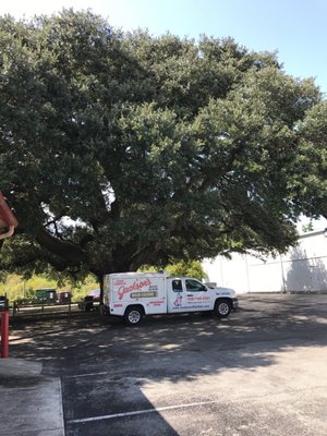 jackson big oak bbq