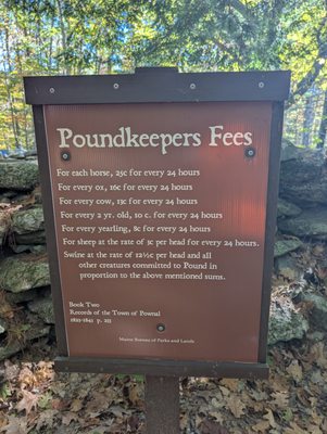 Bradbury Mountain State Park by null