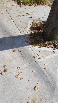 Ridge Pizza NE by null