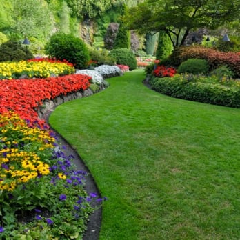 Tucker Lawn & Maintenance - a flower garden - Gardeners Near Me Tucker Lawn & Maintenance - a flower garden - Gardeners Near Me