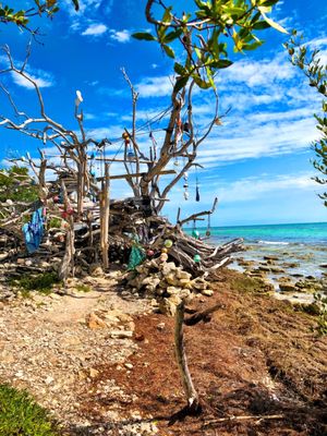 BOCA CHICA BEACH AREA - 171 Photos & 14 Reviews - Naval Air Base, Key