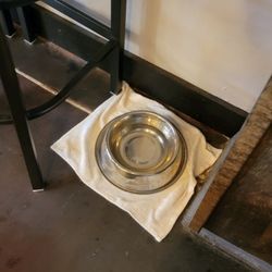 InZane Brewing - Dog water bowl