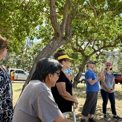 Now and Then Tours - Tour group