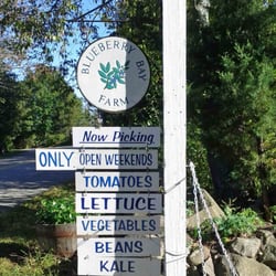 Blueberry Bay Farm - Photo taken in September