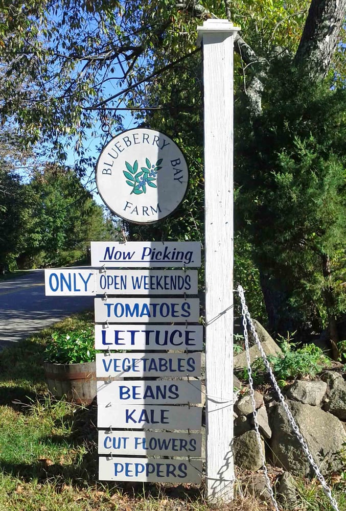 Blueberry Bay Farm Logo