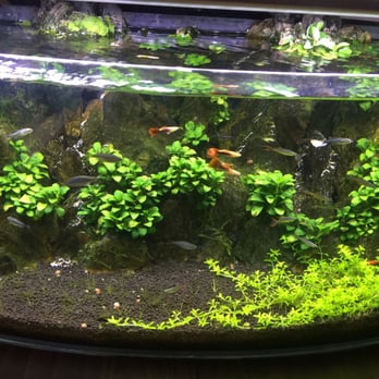 Pet City - Pet Stores Near Me - Taguig, NCR