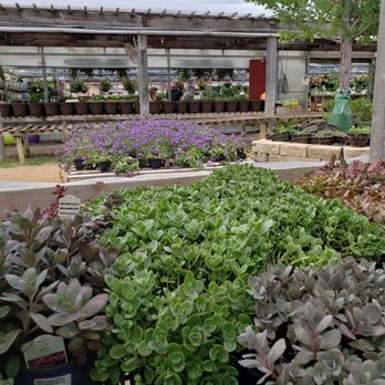 Riddle Plant Farm - Nurseries & Gardening Near Me - Sand Springs, Oklahoma Riddle Plant Farm - Nurseries & Gardening Near Me - Sand Springs, Oklahoma