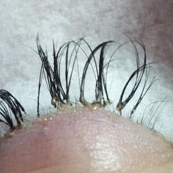 Lashes by Kenzie - Worst lash artist ever - Eyelash Service Near Me Lashes by Kenzie - Worst lash artist ever - Eyelash Service Near Me
