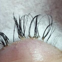 Lashes by Kenzie - Worst lash artist ever