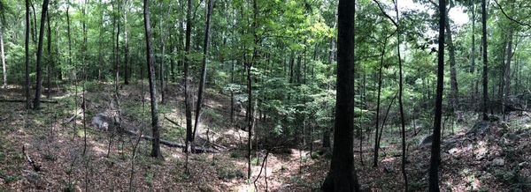 Cascade Springs Nature Preserve by null