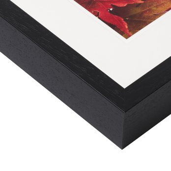 One Vision Imaging - Professional Photo Printing and Framing - Printing Services Near Me - Coventry, XWM