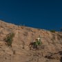 Photo of Ruby Canyon Cycles