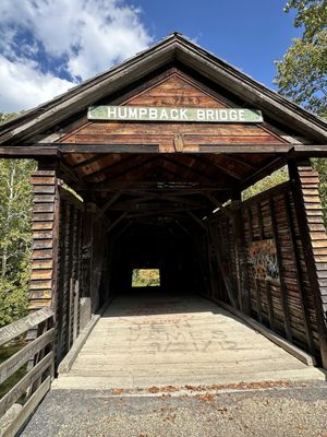 Historic Humpback Covered Bridge by null