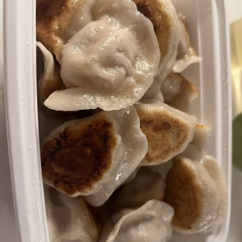 Handmade Dumpling - Pork and chive - Chinese Near Me - Flushing, New York