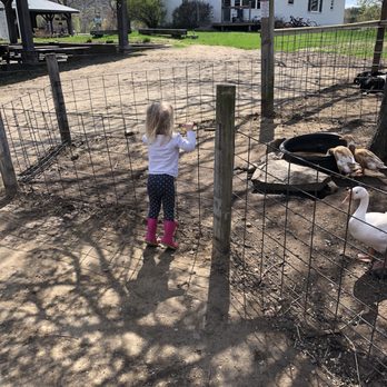 Beans & Greens Farm - Farm animals for the kids - Farmers Market Near Me - Gilford, New Hampshire
