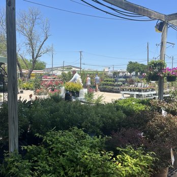 Round Rock Garden Center - They did have a nice selection of plants - Nurseries & Gardening Near Me - Round Rock, Texas Round Rock Garden Center - They did have a nice selection of plants - Nurseries & Gardening Near Me - Round Rock, Texas