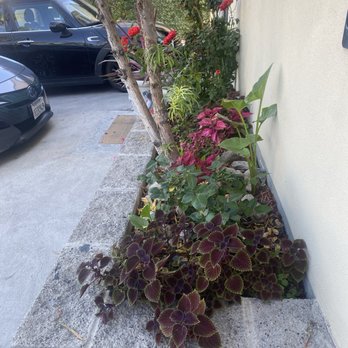 Harry's Auto Collision Center - garden - Body Shops Near Me - Los Angeles, California