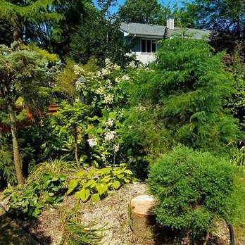 Joe's Complete Tree Service - Tree Services Near Me - Deer Park, New York