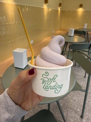 Soft Landing soft serve by null