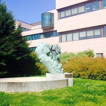 Humanitas - Ingresso - Hospitals Near Me - Rozzano, Michigan