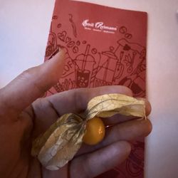 Emil Reimann - Physalis