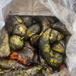 Lulu's Farm Roadside Market - Pueblo Chiles