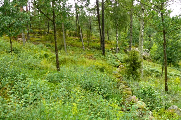 Vitlycke Museum by null