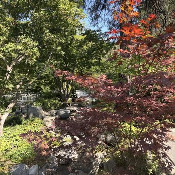 Ashland Japanese Garden - Great vegetation - Botanical Gardens Near Me - Ashland, Oregon Ashland Japanese Garden - Great vegetation - Botanical Gardens Near Me - Ashland, Oregon