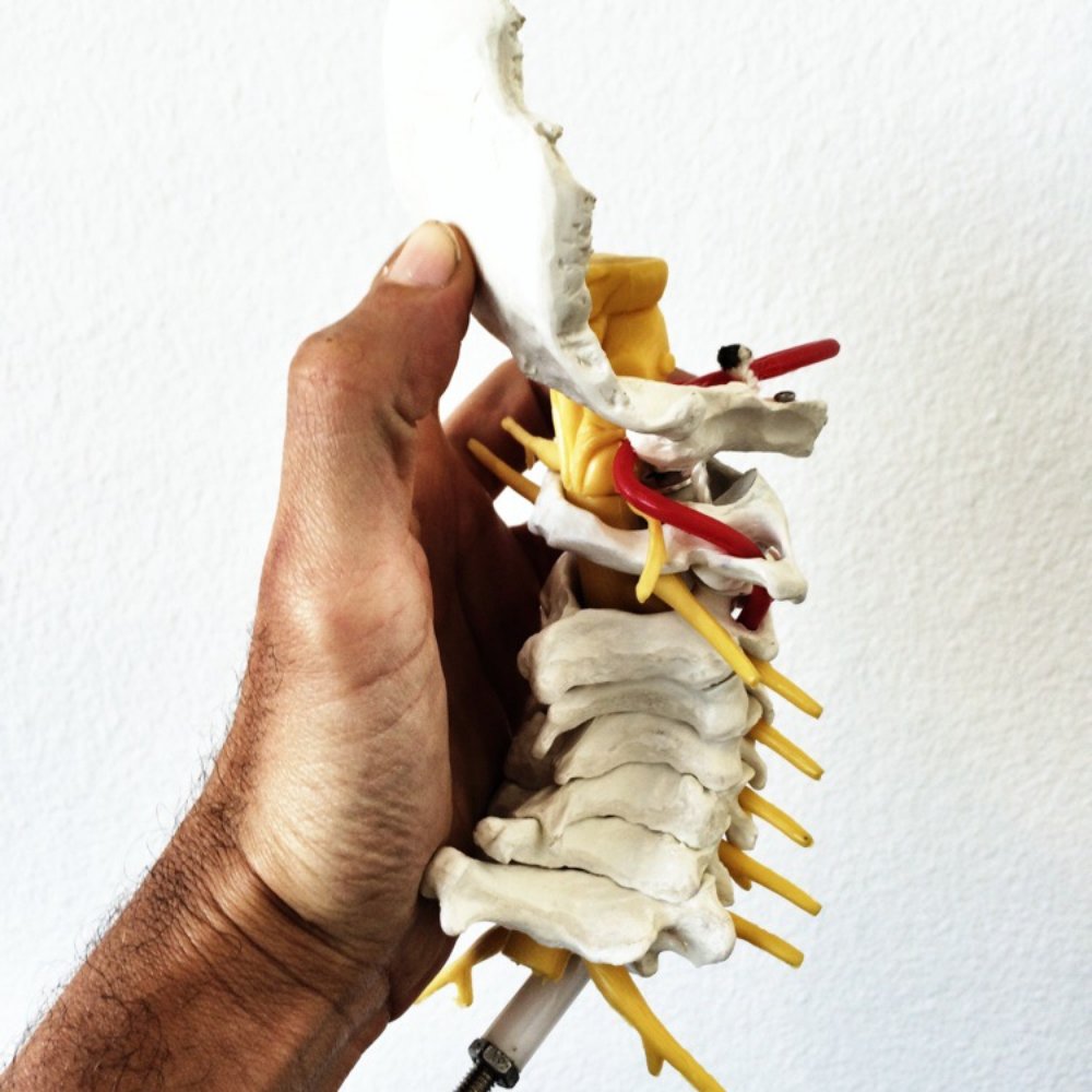 The Human Reset - Getting the atlas worked on!! Yes!! - Massage Therapy Near Me - Los Angeles, California The Human Reset - Getting the atlas worked on!! Yes!! - Massage Therapy Near Me - Los Angeles, California