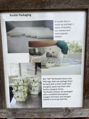 Salt Spring Island Cheese by null