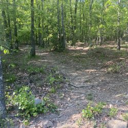 Alsopp Park