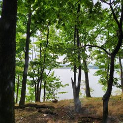 Denning's Point State Park - Hudson River