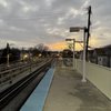 CTA - Western-Brown gift card