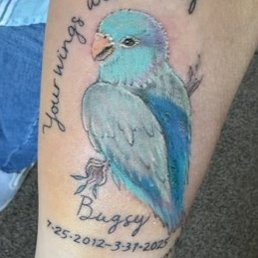 My Beautiful Bugsy.