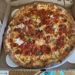 18" Pep 18" Pep