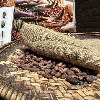 Dandelion Chocolate - Picture from 2023 tour - Chocolatiers & Shops Near Me - San Francisco, California Dandelion Chocolate - Picture from 2023 tour - Chocolatiers & Shops Near Me - San Francisco, California