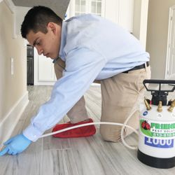 Friendly Pest Solutions - Interior Pest Control- Crack and Crevice Application