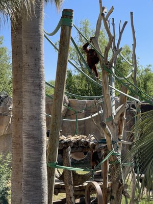 El Paso Zoo and Botanical Gardens by null