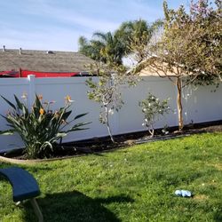Neto's Fence