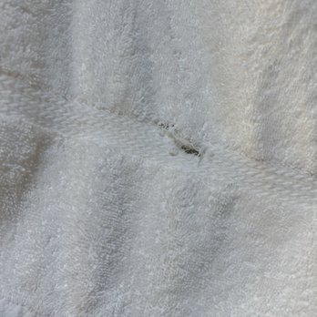 Kimpton Brice Hotel - Ripped cheap linens - Hotels Near Me - Savannah, Georgia