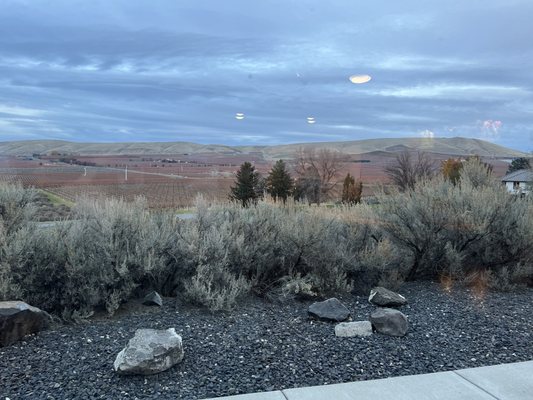 Kiona Vineyards and Winery by null