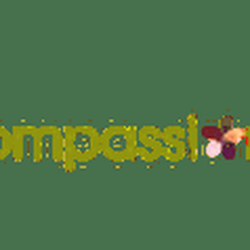Compassionate Care for Women: Lawson Richter, MD