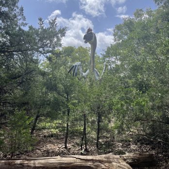 Dinosaur Park - Who is that peeking above the trees?!! - Amusement Parks Near Me - Cedar Creek, Texas