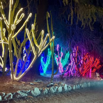 Lavender Nights - Festivals Near Me - Cherry Valley, California