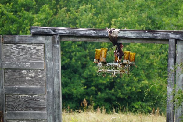 Savannah's Meadow by null