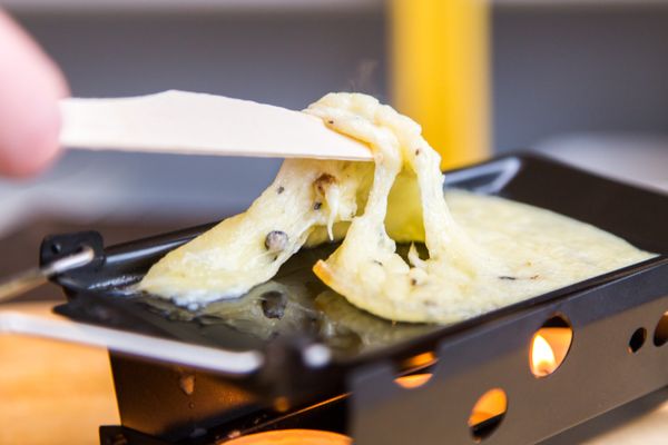 curds&co by null