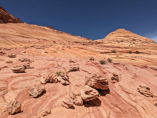 Dreamland Safari Tours by null