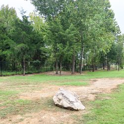 Large dog park